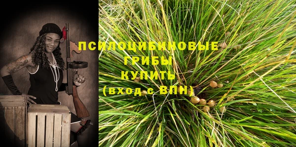 прущий лед Алексин