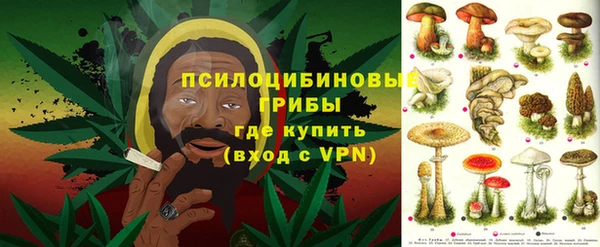 ПСИЛОЦИБИНОВЫЕ ГРИБЫ Алзамай