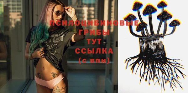 прущий лед Алексин