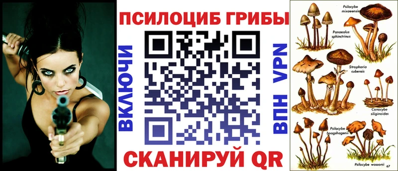 Псилоцибиновые грибы мицелий блэк спрут онион Долинск